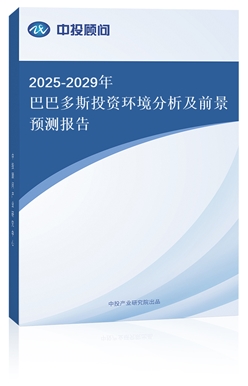 2025-2029ͰͶ˹ͶYh(hun)ǰAy